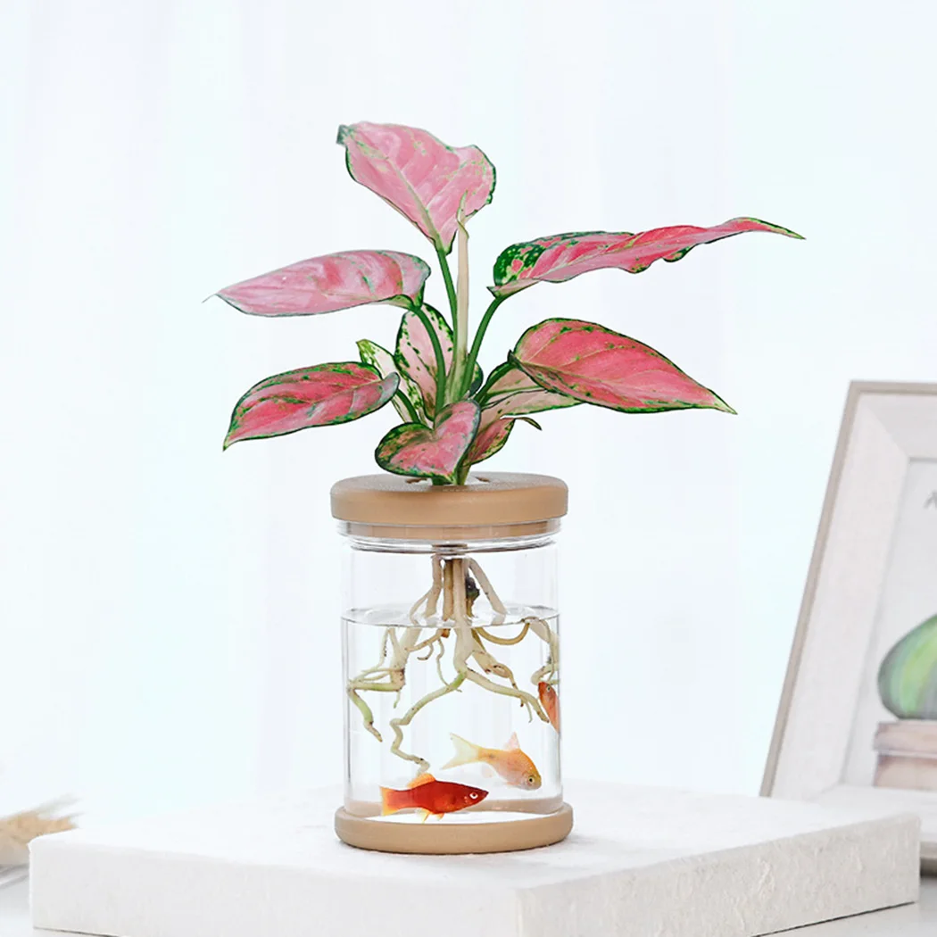 

2PCS Plant Pots Lazy transparent flower pot Transparent pot Imitation glass
