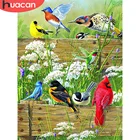HUACAN 5D алмазная Painiting птица и крест стежка Алмазная вышивка сад мозаичная картина из стразов искусство хобби подарок