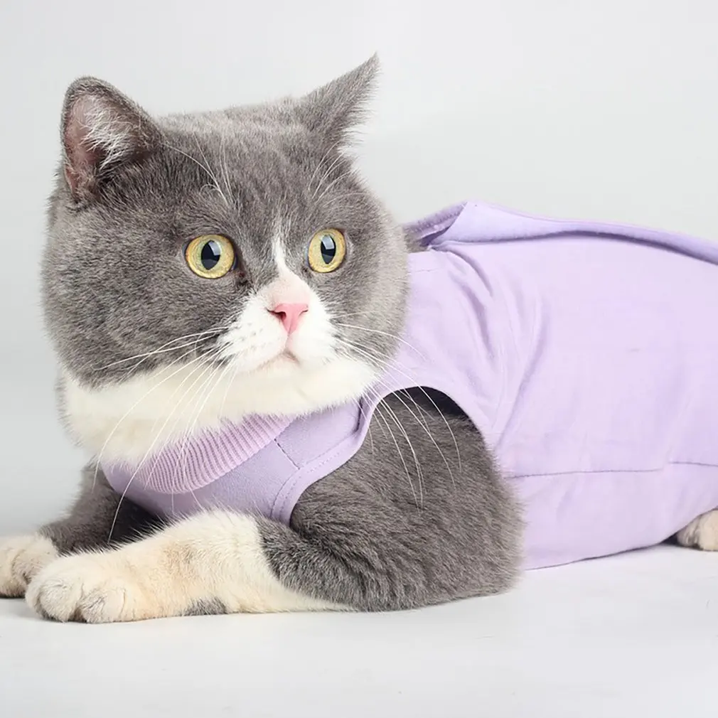 

Cat Lick Proof Sterilization Suit Velcro Strip Elastic Neckline Limb Edging Cotton Fabric Humanized Design