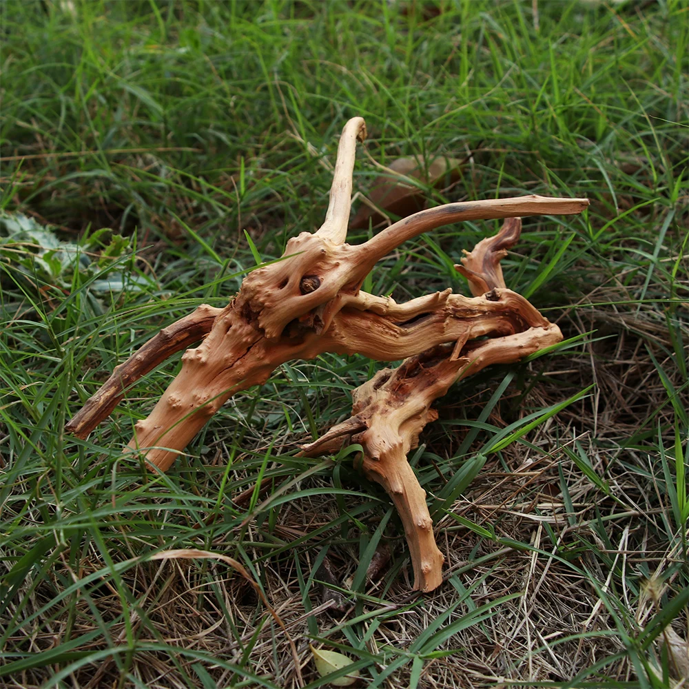 Оливковый лист/натуральный корень из мертвой древесины ствол дерева пейзаж