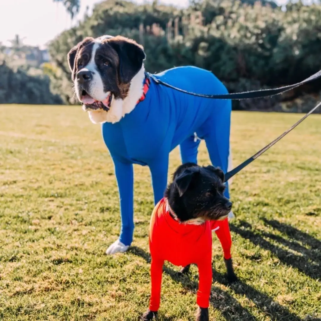 

Four Feet Lightweight Pajamas Pure Dog Jumpsuits Tight Dog Coat Nursing Clothes Bodysuit For Small Medium Large Dogs Pet Costume