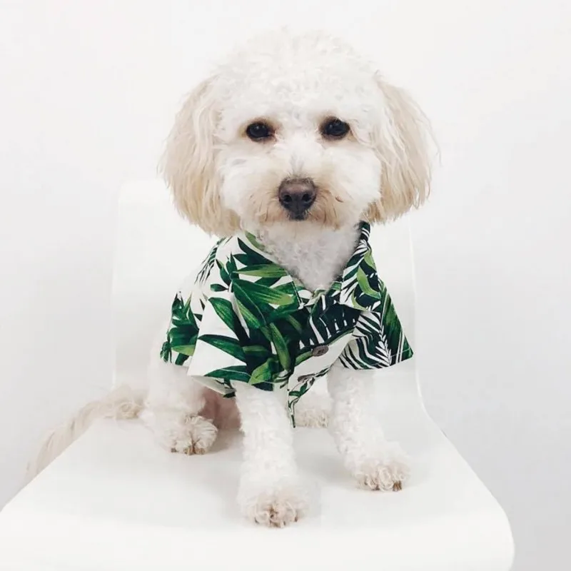 

Hawaii Green Bamboo Pet Colorful Summer Hawaii Style Costume, Cool home furnishing products, suitable for a variety of scenarios