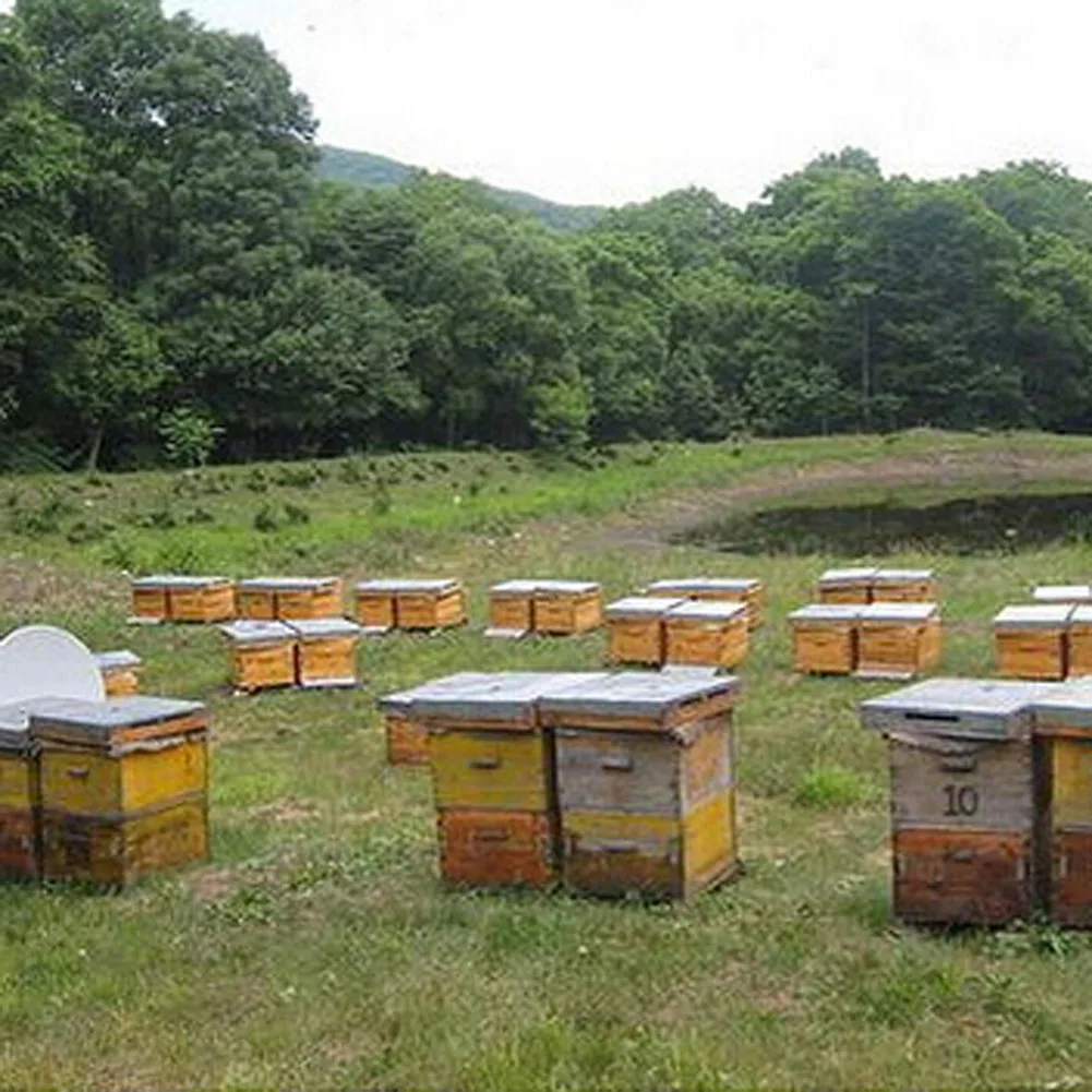 

1 Ounce Pure Natural Beeswax Wax Candle Making Supplies 100% No Added Soy Wax Lipstick Soup DIY Material Yellow Beeswax Dropship