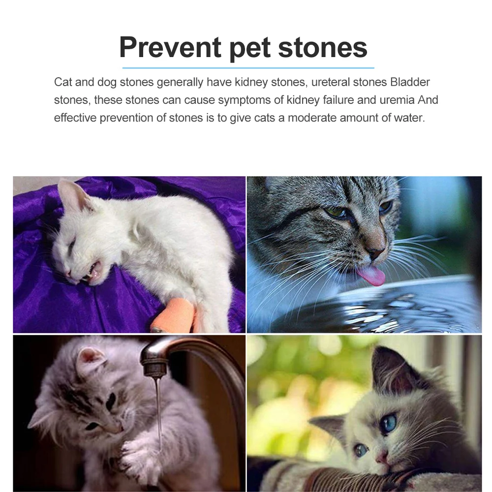 Миска для питья кошек товары домашних животных автоматическая кормушка собак