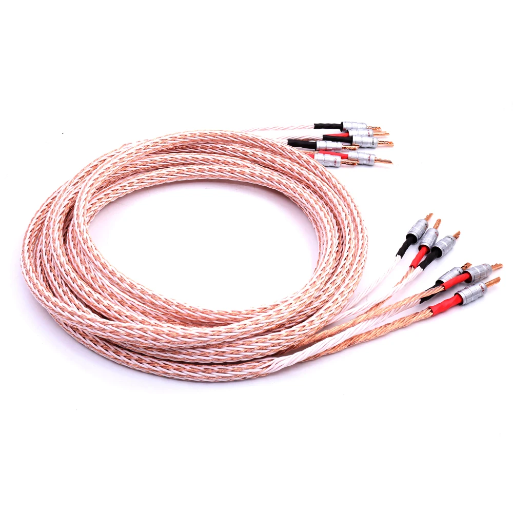 Пара высококачественных акустических кабелей 12TC Hifi провод с 2 штекерами типа