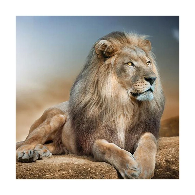 

5D DIY Diamond Painting Animal Sitting Lion Full Embroidery Rhinestone Mosaic Home decorative Handmade Handcraft Painting Gift