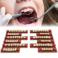 dental synthetic synthetic resin false teeth dental material teeth denture dentist supplies for making denture model learning