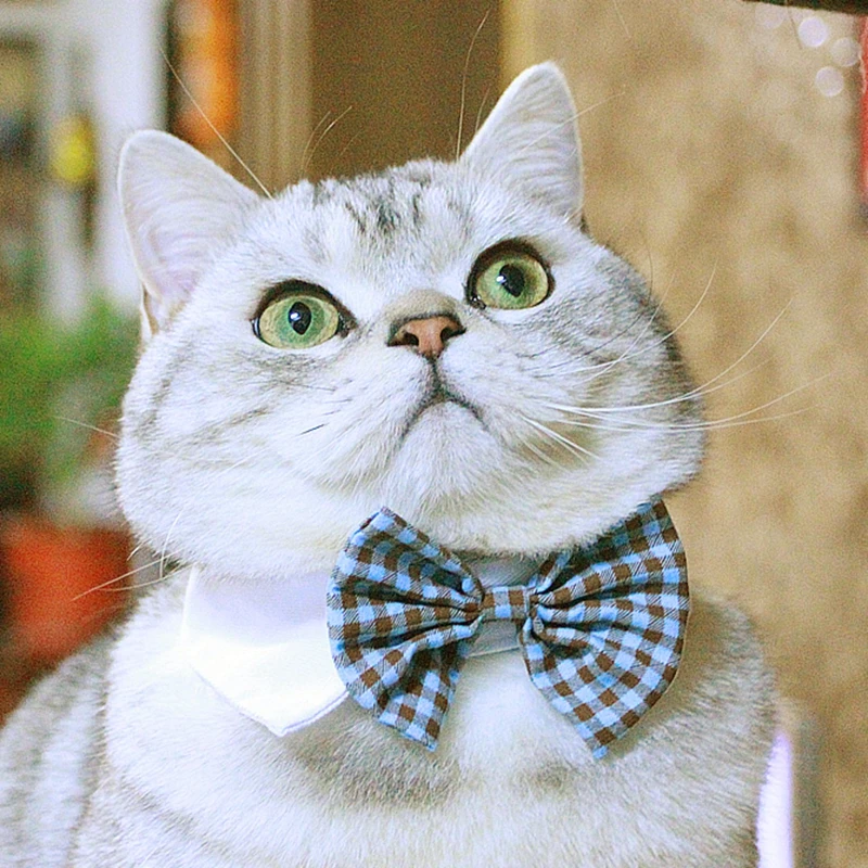 [Галстук бабочка в виде кошки MPK] искусственное ошейник различных стилях для