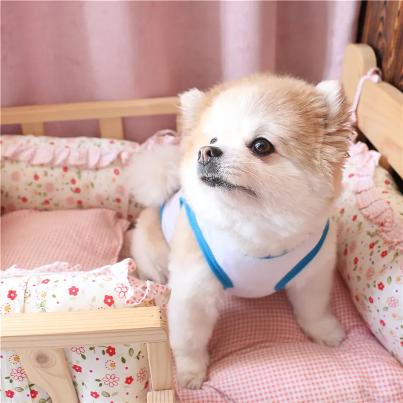 Из мультфильма Холодное сердце 1 шт. маленькая дверь для кошек бикини собак с