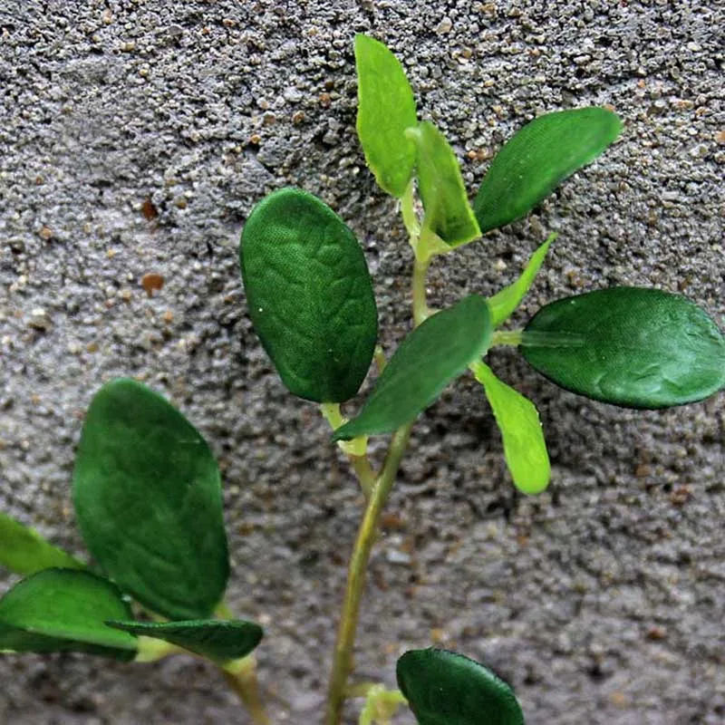 Украшения для сада с рисунком яблоня и листовые искусственные растения зеленой