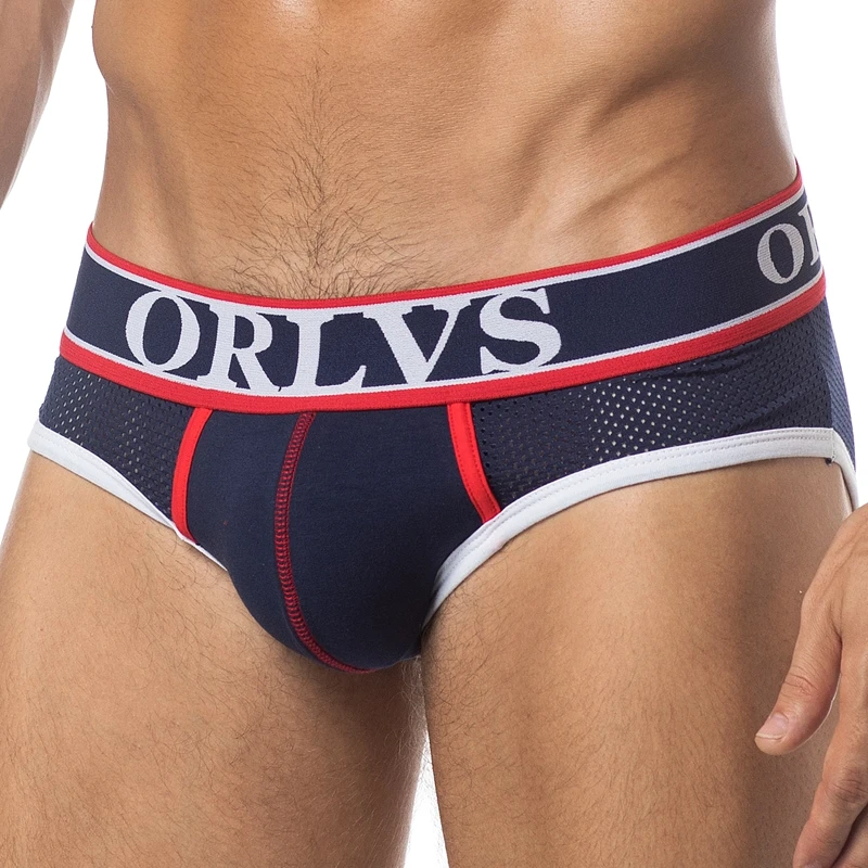 

Men Underwear Mesh Qucik-Dry Sexy Men Briefs Breathable Mens Slip Cueca Male Panties Underpants Briefs Gay Underwear