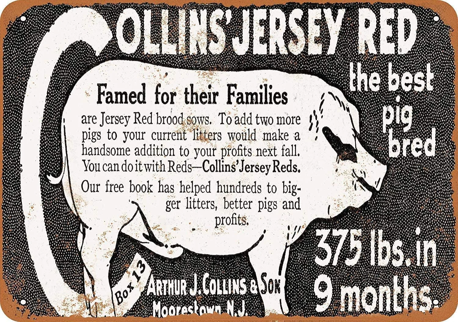 

MAIYUAN Metal Sign 8x12 Inches Collins' Jersey Red Pigs Tin Wall Sign Metal Poster Plaque Warning Sign I