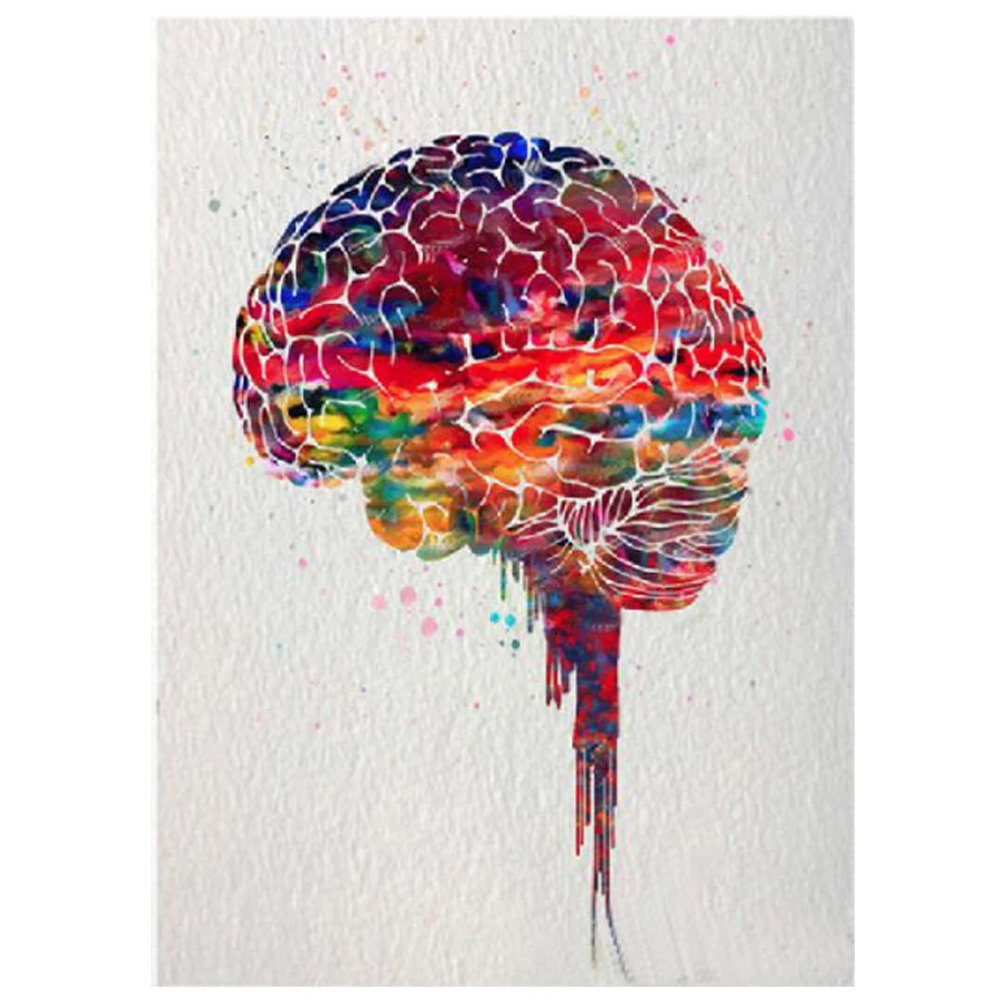 

Full Square Drill 5D DIY Diamond Painting watercolor Brain poster diamond Embroidery Cross Stitch Mosaic Home Decor craft AA153