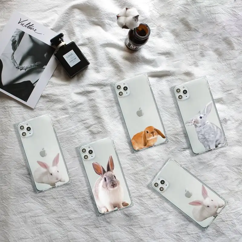 

bunny cute animal Phone Case Transparent for iPhone 7 8 11 12 se 2020 mini pro X XS XR MAX Plus high quality etui shell