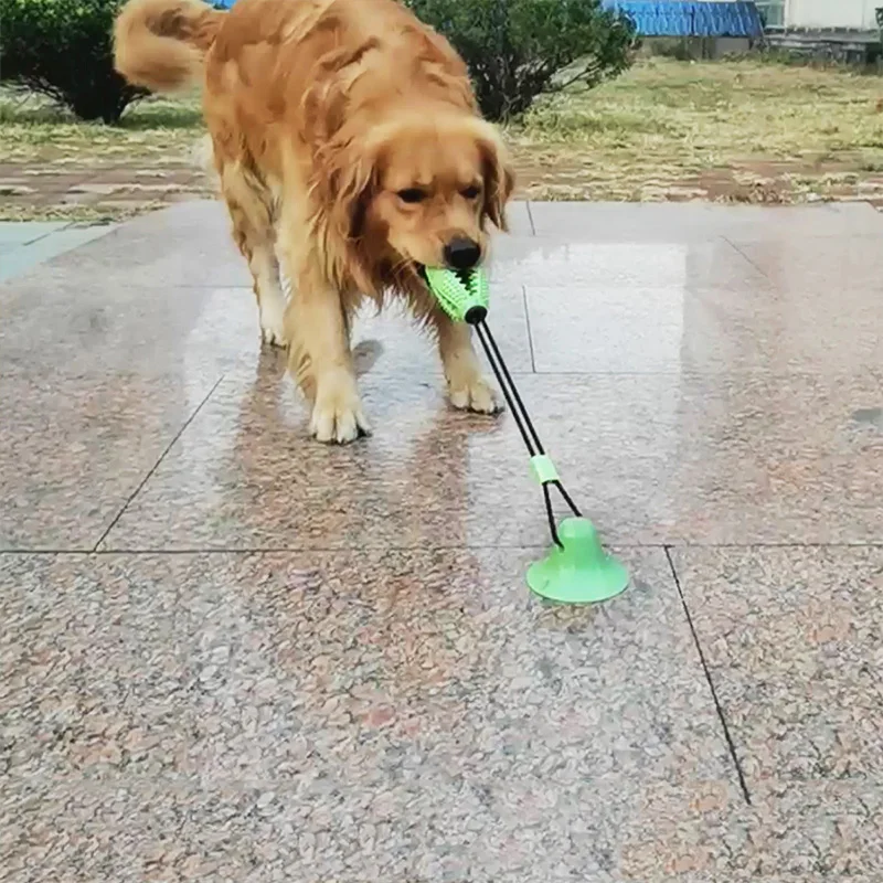 Molar Bite Interactive Dog Toy with Durable Rope Pet Toys Suction Cup Tooth Cleaning Chewing Rubber | Дом и сад