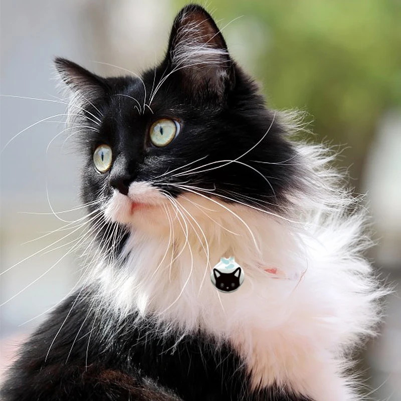 Персонализированная идентификационная бирка для домашних животных кошек