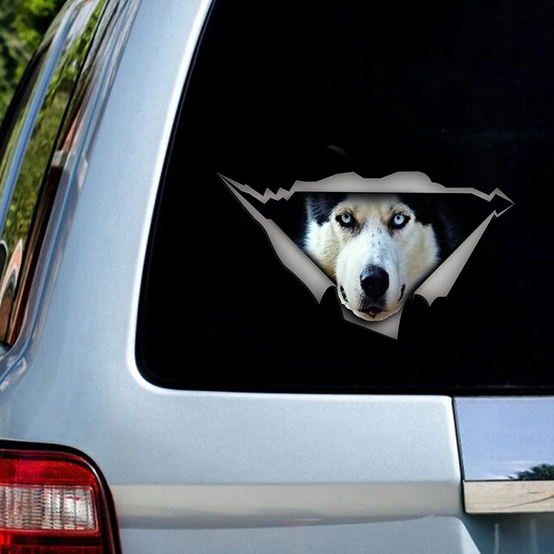 

Funny Dog Head Car Stickers Decals Motorcycle Accessories Car-window Sticker