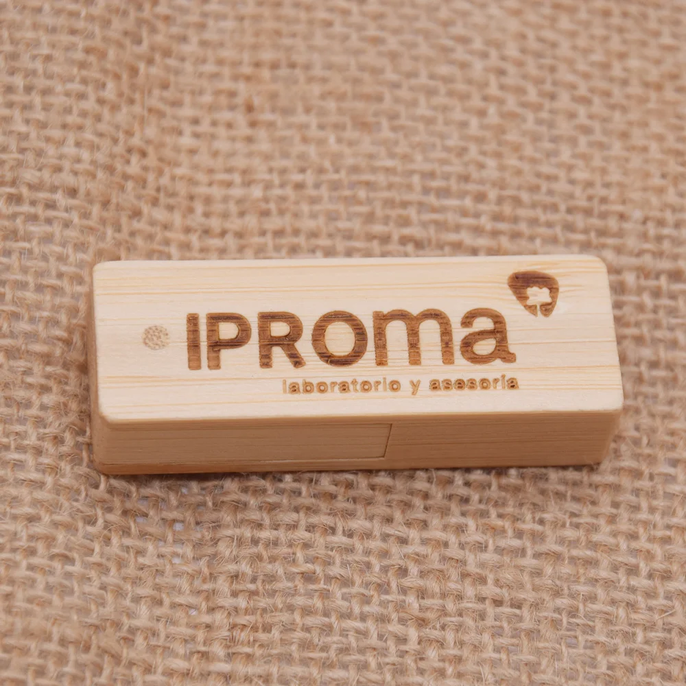 Поворотных на флэшке бесплатная доставка деревянный USB Pendrive 2 0 32 Гб оперативной