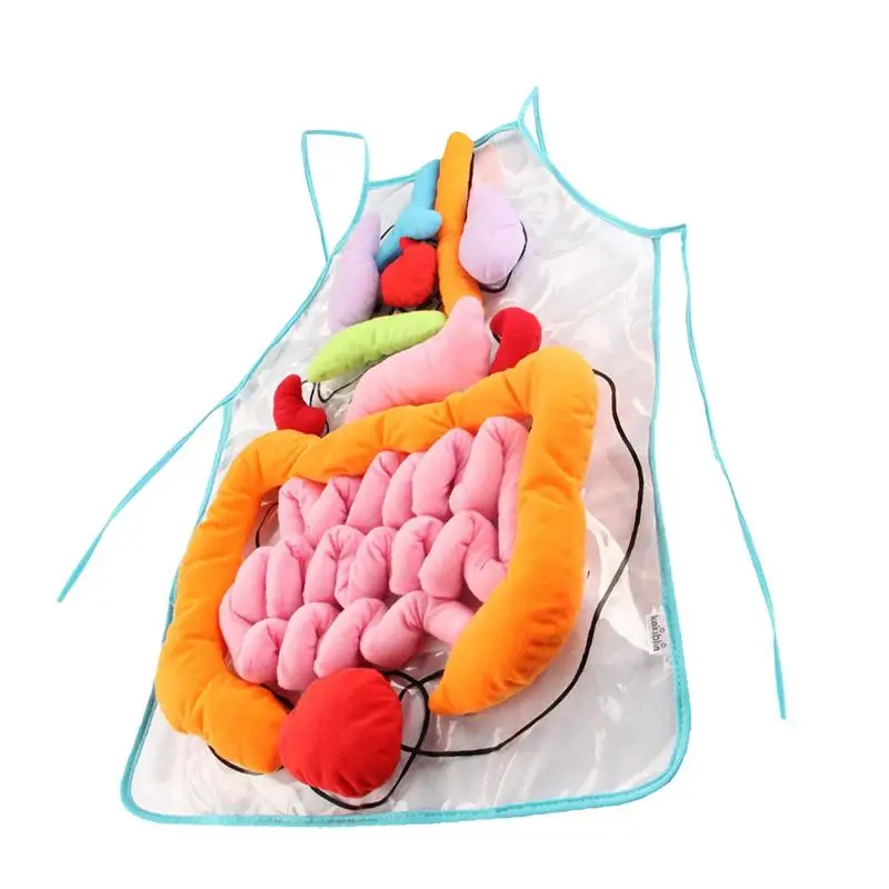 

1 Set Body Organ Apron Kindergarten Teaching Aids for Early Education Learning
