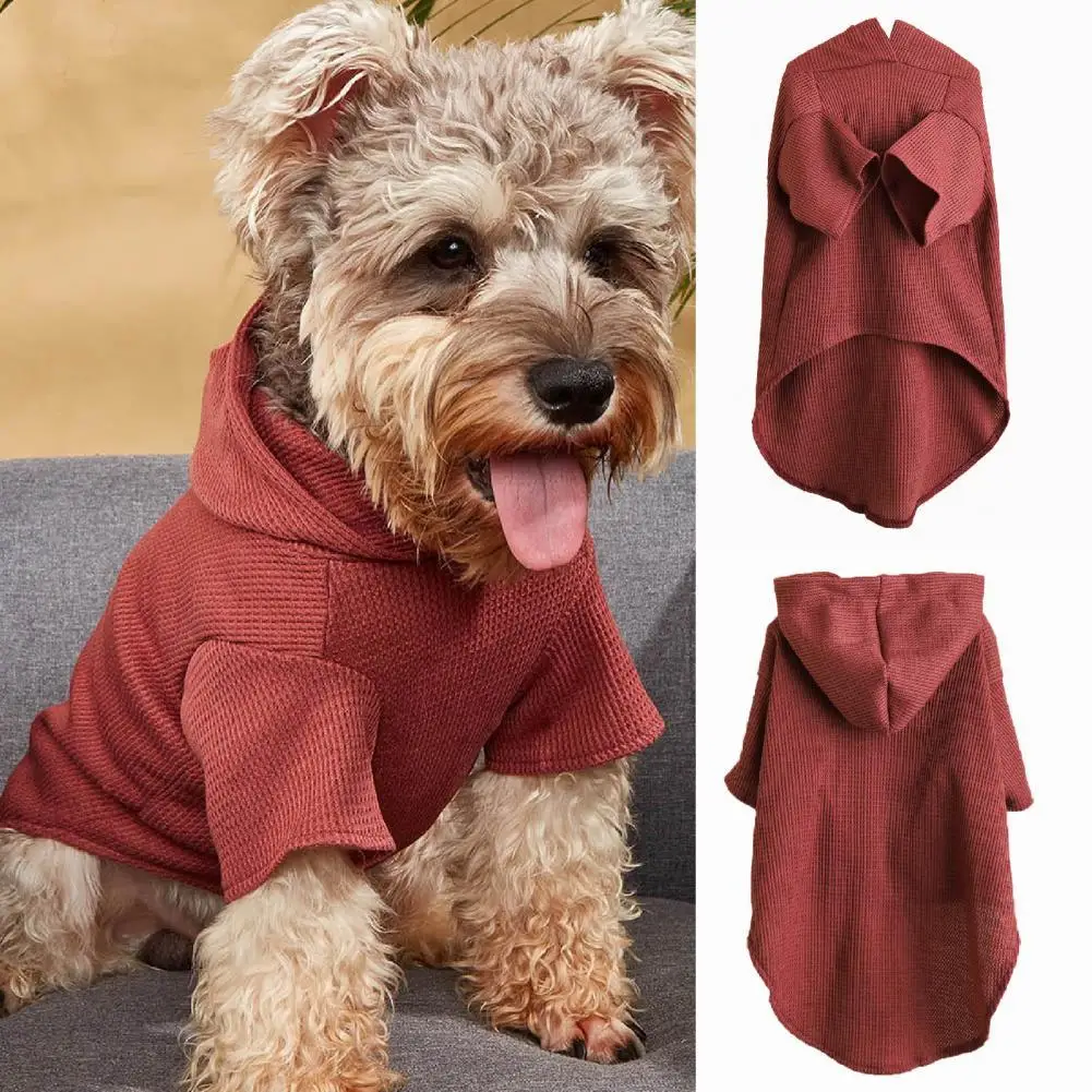 

Толстовка для домашних животных, толстовка с капюшоном, одежда для домашних животных, Декор, одежда для домашних животных, Отличная толстов...