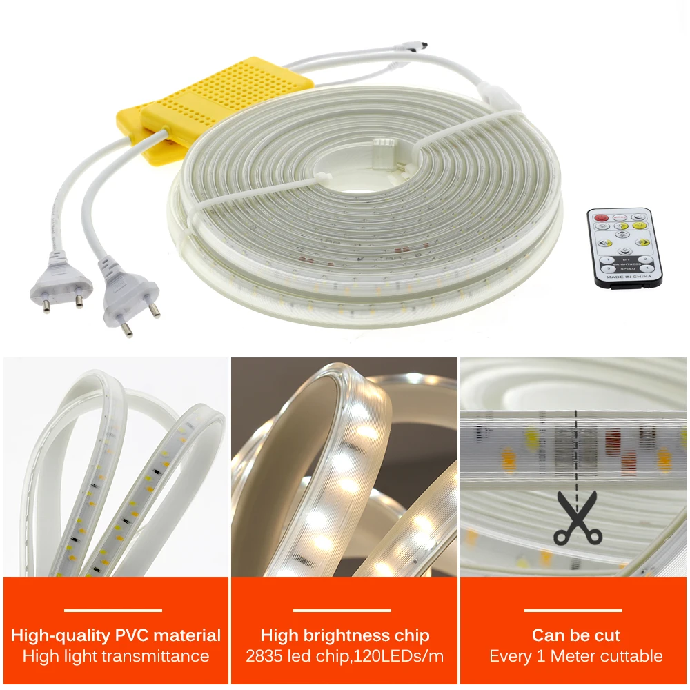 

220V LED Strip RGB/Double White+Blue Neon Light Ribbon with Remote Control Flexible LED Tape Waterproof Outdoor LED Light Strip