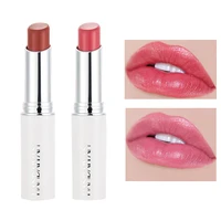 2pcs sexy lips makeup lipstick lip gloss easy to wear long lasting moisture cosmetic lipstick red lip matte lipstick waterproof