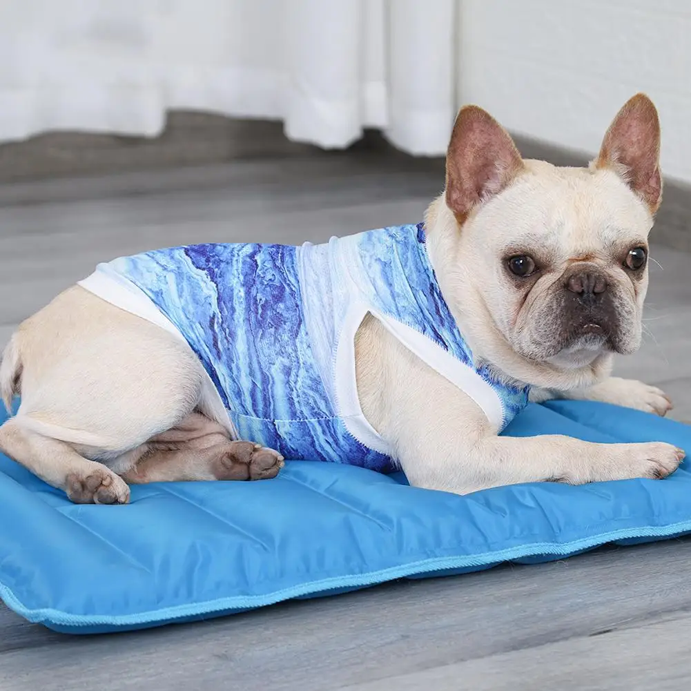 

Dog Cooling Vest Pet Cooling Vest Lightweight Cat Cooling Coat Dog Jacket Clothing for Puppy Dog Cats Kittens Blue