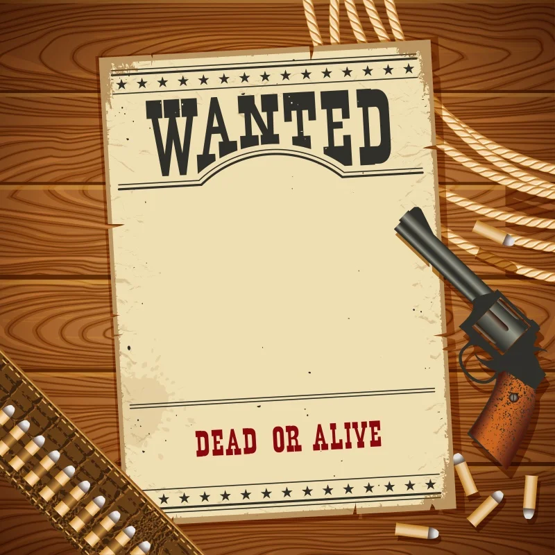 

Виниловые фоны для фотосъемки ребенка мультфильм хотел день рождения пистолет Уэст ковбой индивидуальные баннер фото фон фото