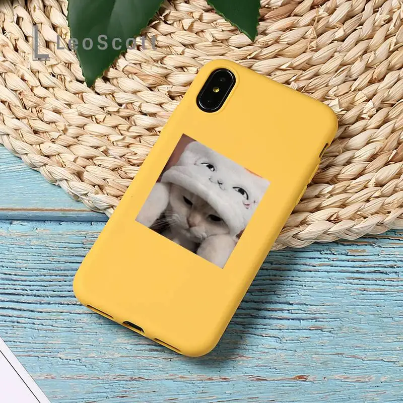 

Cute Cats New Year Gifts Phone Case Yellow Candy Color for iPhone 11 12 mini pro XS MAX 8 7 6 6S Plus X SE 2020 XR