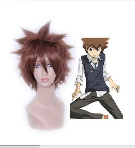 Бесплатная доставка &gt&gt&gt&gt Косплей реборн Sawada Tsunayoshi аниме короткий коричневый
