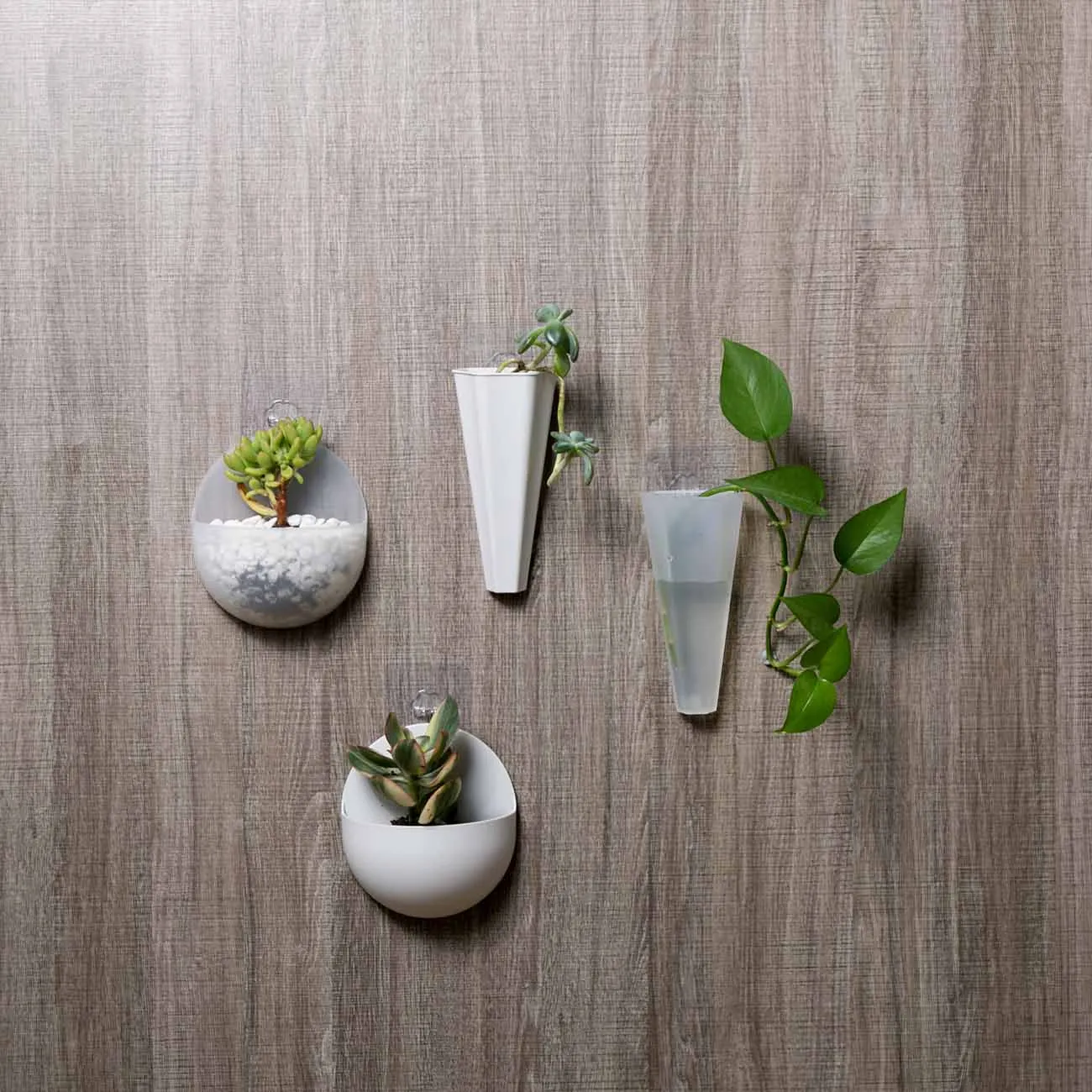 

Wall Hanging Hydroponic Plant Vases Fridge Magic Flower Vases Succulent Planters Home Living Room Garden Bonsai Creative Decor