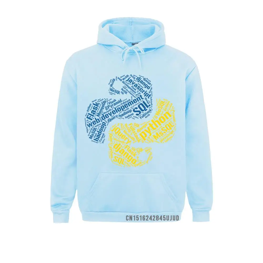 Худи графические Мужские Винтажные свитшот с принтом питона программирующее