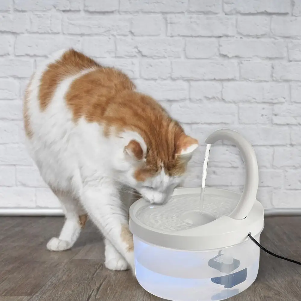

Pet Cat Dog Fountain 2L LED Blue Light USB Powered Automatic Water Dispenser Cat Feeder Drink Filter For Cats Dogs Pet Supplier