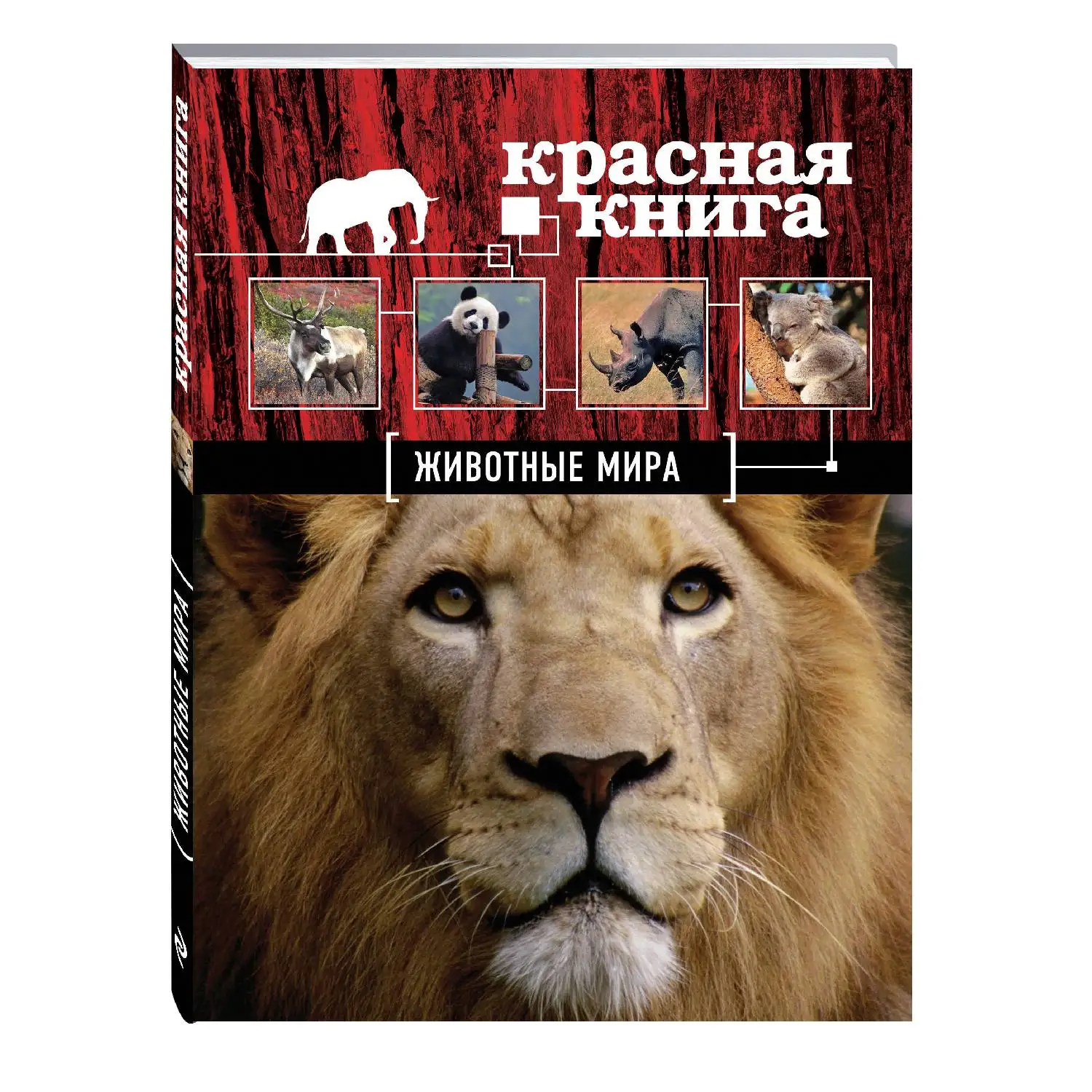Красная книга. Животные мира. Оксана Скалдина Евгений Слиж | Канцтовары для офиса