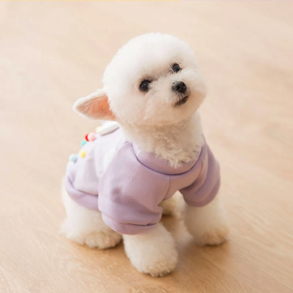 Пальто с радужным белым облаком одежда для домашних животных кошек и собак