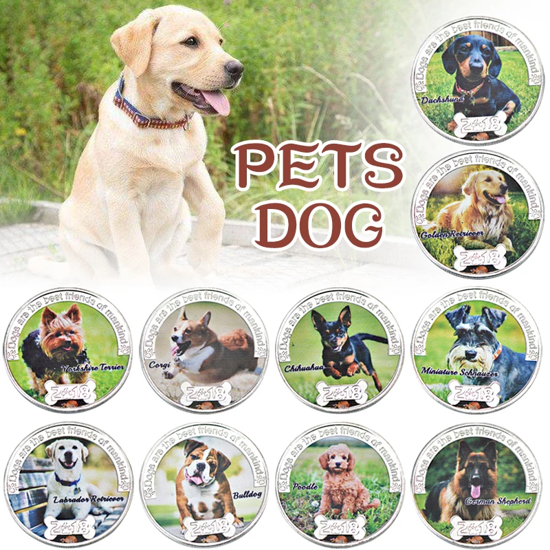 

10 шт., серебряные фотообои с держателем для монет для домашних животных