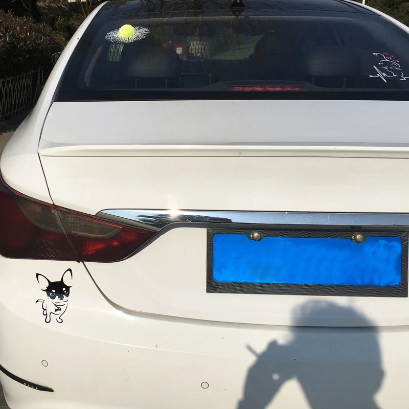 

BEMOST Car Stickers Funny Chihuahua Dog Reflective Decal Cartoon Animal Car Styling Decorative Auto Accessories 9.6*13.7cm