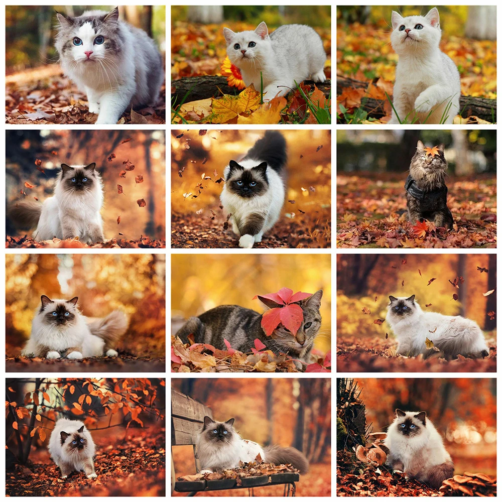 

HUACAN алмазная вышивка распродажа кошки 5д Алмазная мозаика картины осень животные вышивка крестиком