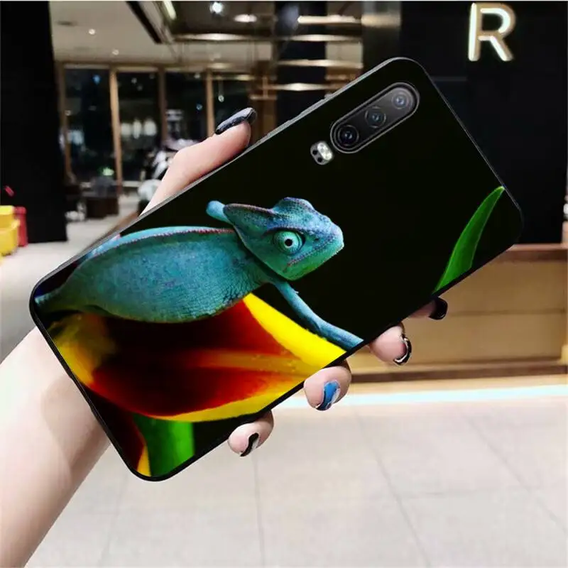 Фото Чехол для телефона Gecko Lizard Animals DIY с принтом чехол Huawei P40 P30 P20 lite Pro Mate 20 P Smart 2019 prime Чехол для телефона Gecko Lizard Animals DIY с принтом чехол Huawei P40 P30 P20 lite Pro Mate 20 P Smart 2019 prime