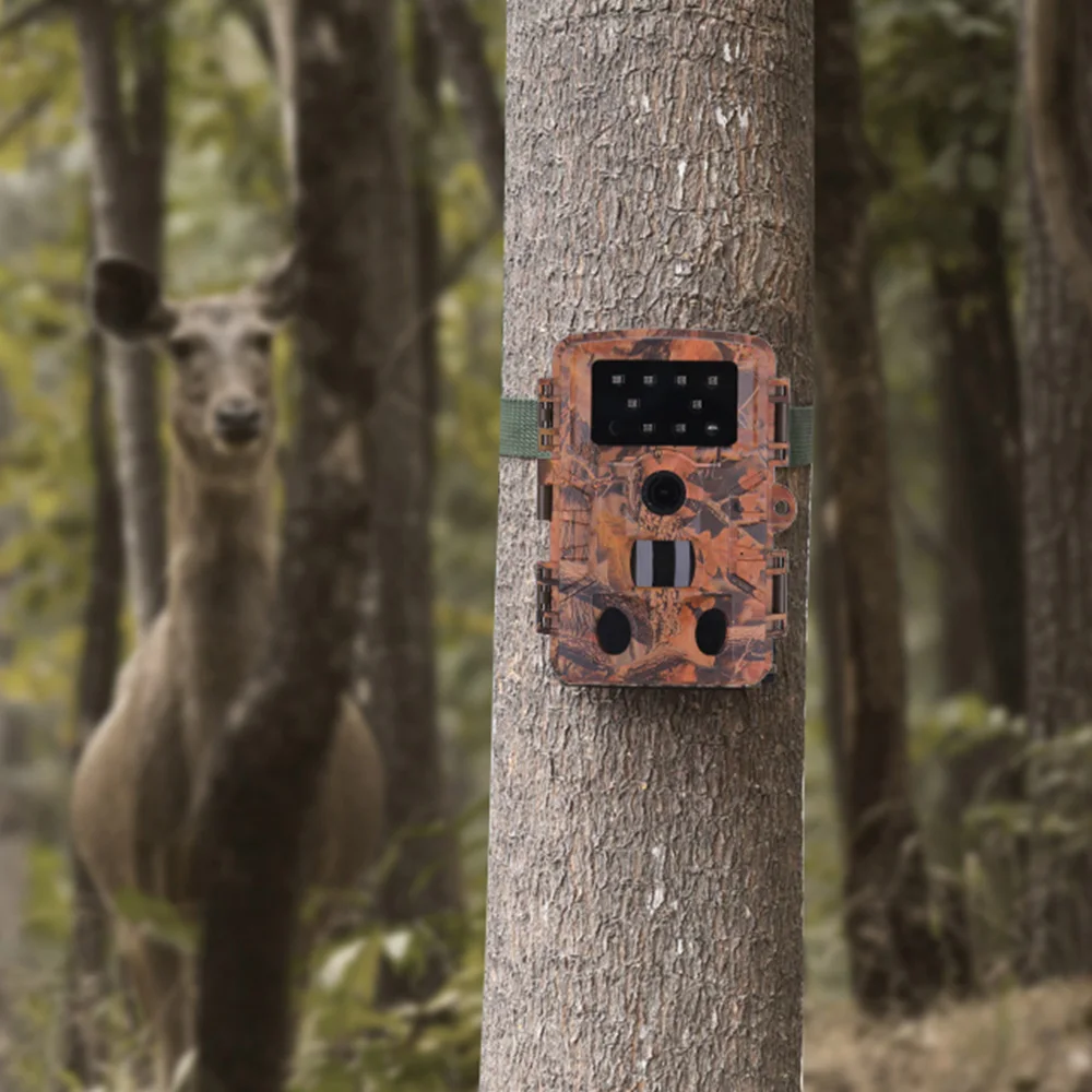 

Hunting Camera 16MP IP65 Waterproof 0.2s Fast Shooting PIR Sensor Digital Trail Camera for Outdoor Wildlife Hunting Trail Cam