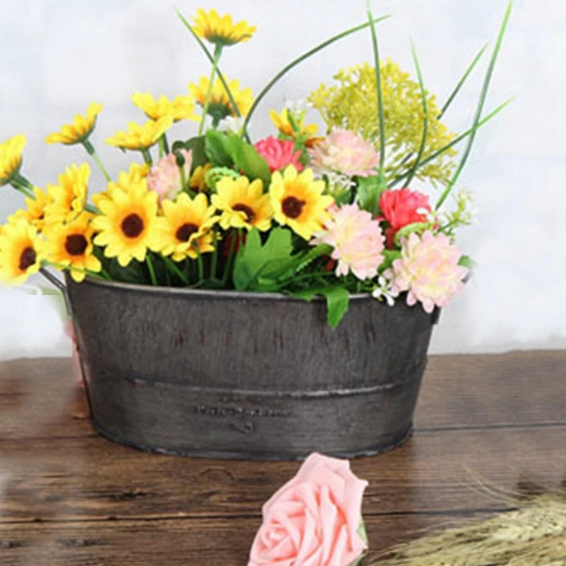 

Комплект из 2 предметов горшок для садового растения декоративные Винтаж сочные ящик для комнатных растений, железный цветочный горшок дом...