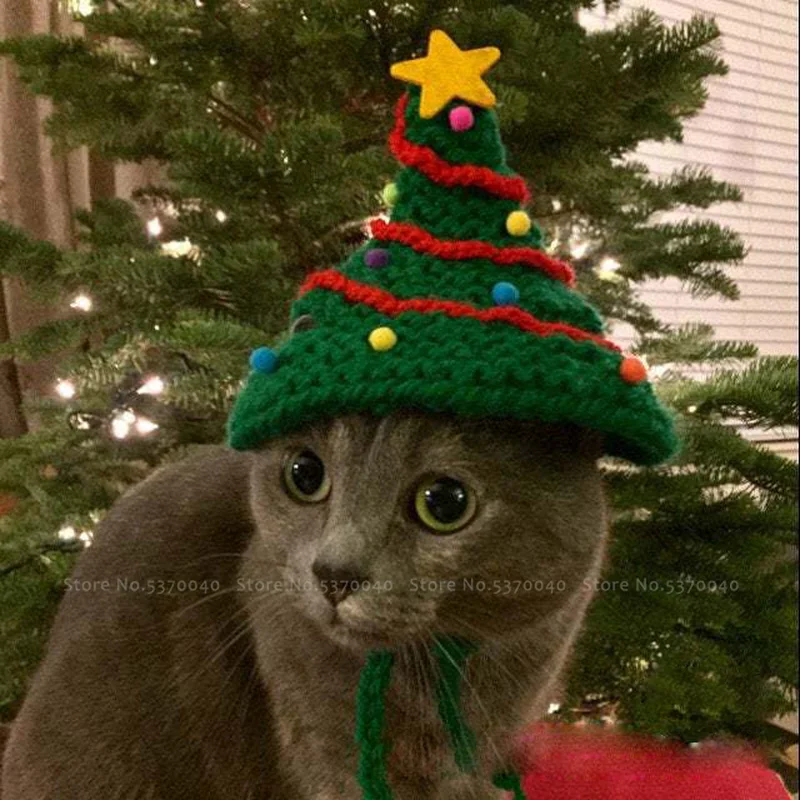 Рождественская елка домашние животные кошки собаки зимние теплые шерстяные