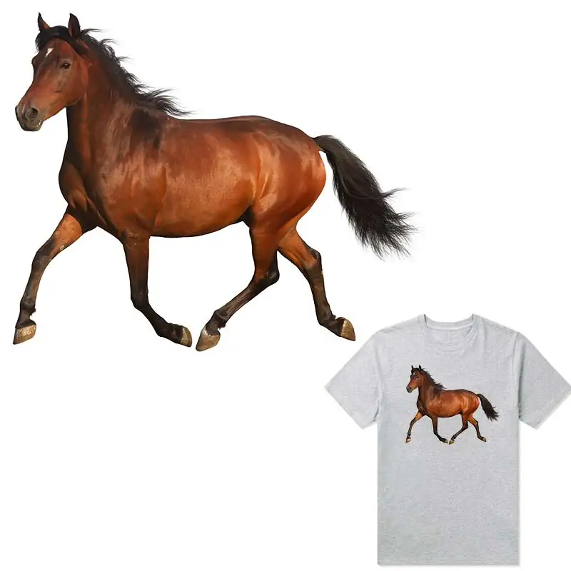 3D нашивки с лошадьми для одежды Железный на футболке виниловые толстовки Топы Diy термальный пресс А уровень