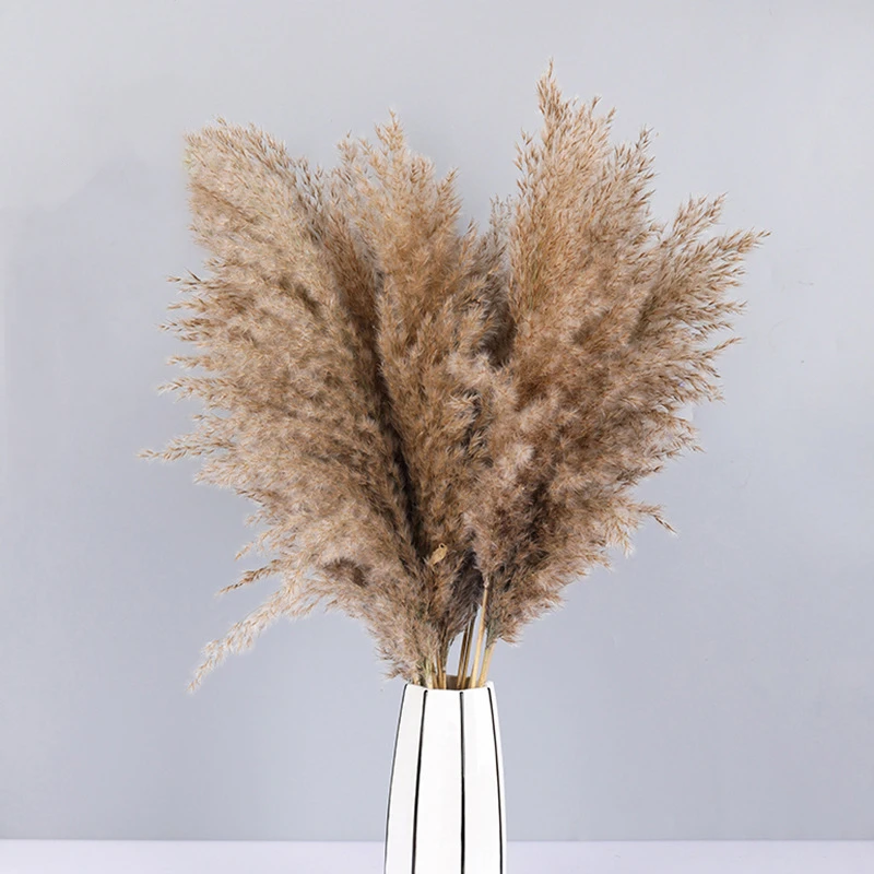 natural dried plants dried reeds bunch small pampas grass diy craft wedding bouquet photography props home decoration supplies free global shipping