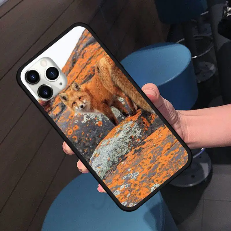 

Red fox cute animal LOVELY Phone Case For iphone 7 8 12 11 XR XS pro Max Mini plus Soft silicone cover shell funda