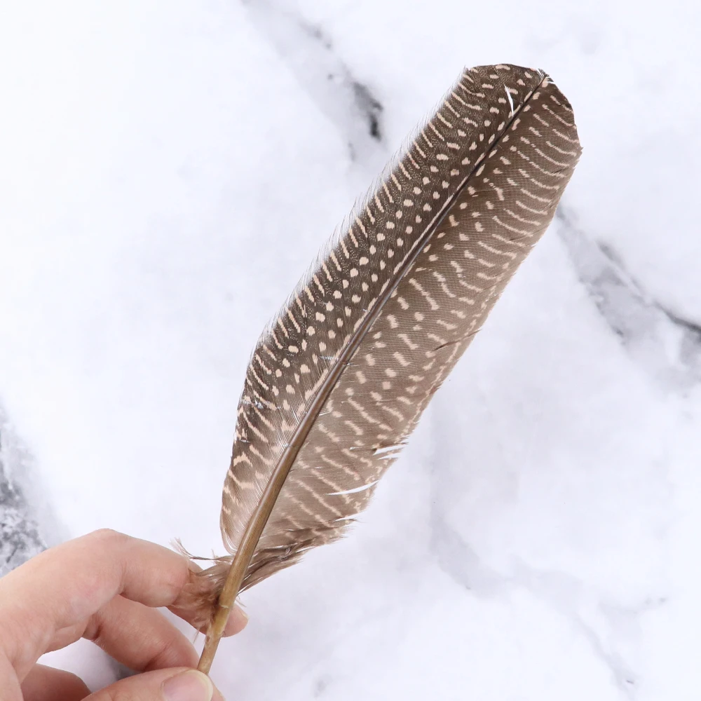 Wholesale 20/50Pcs Natural Pheasant Feathers 15-20Cm Guinea Fowl Wings Chicken Plume Decoration Craft Jewelry Making Accessories |