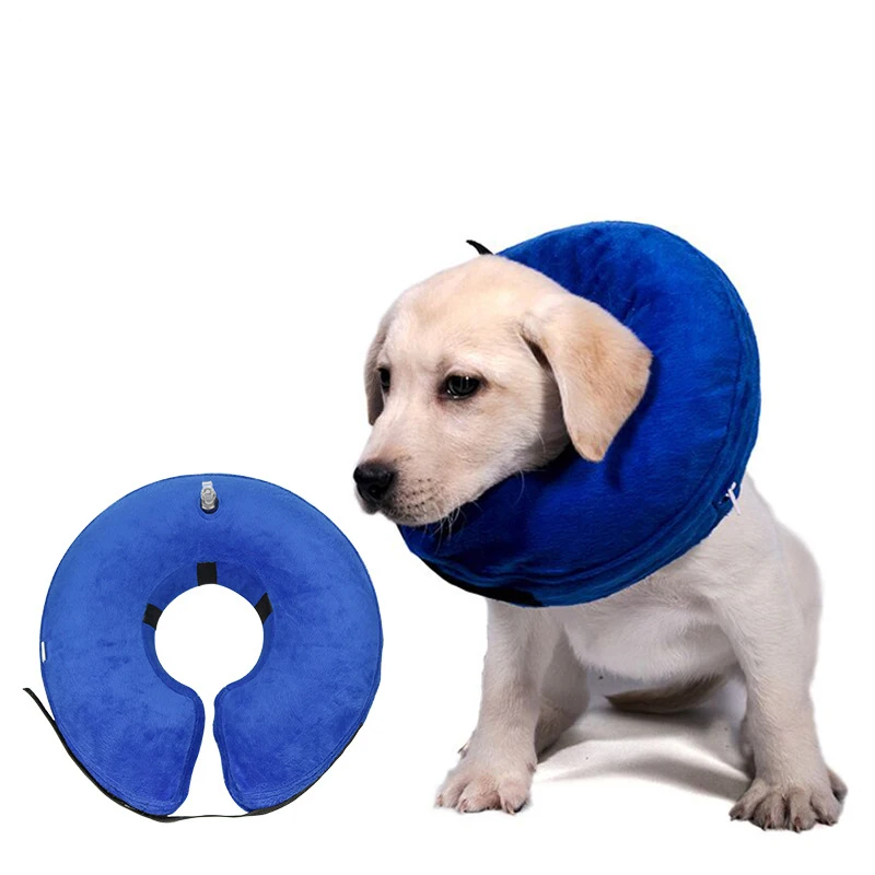 

Pet Supplies Universal Collar Cat And Dog Safety Adjustable Cat Seat Belt Kiity Traction Rope Puppy Animal Dog Harness Leash Set
