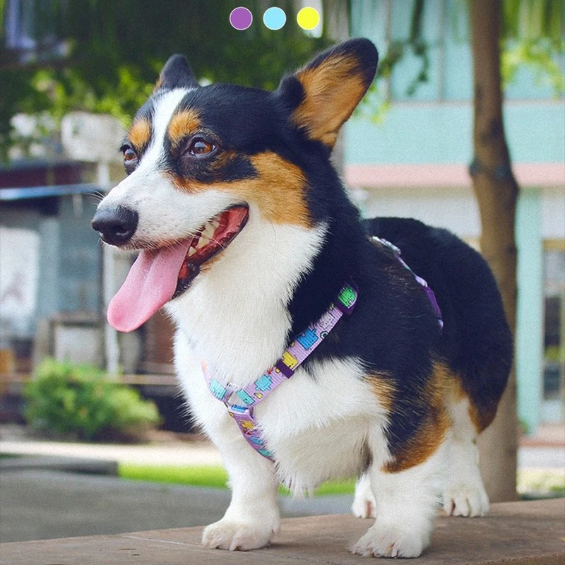 Нейлоновый H образный ремень для собак Регулируемый дышащий персонализированный
