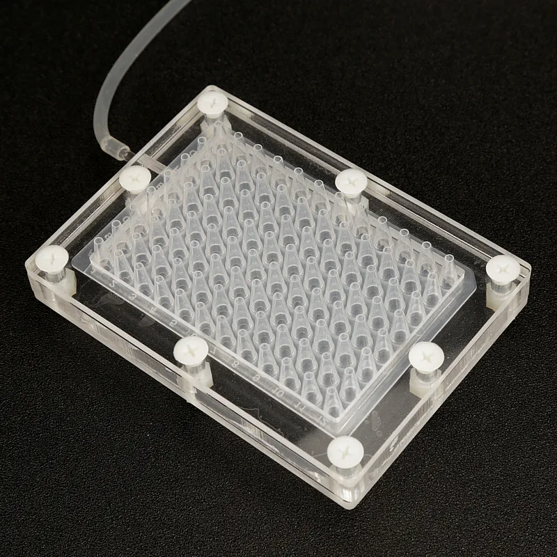 

Molecular Caviar Generator Box Creative Caviar Cocktail Filter 100-hole Caviar Strainer Tools