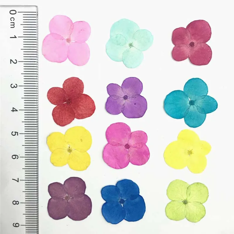 Арт Бумага орнамент настоящие прессованные цветы 1 5-2 см гортензии для